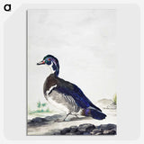 1-25_Aert-Schouman_picture-crop