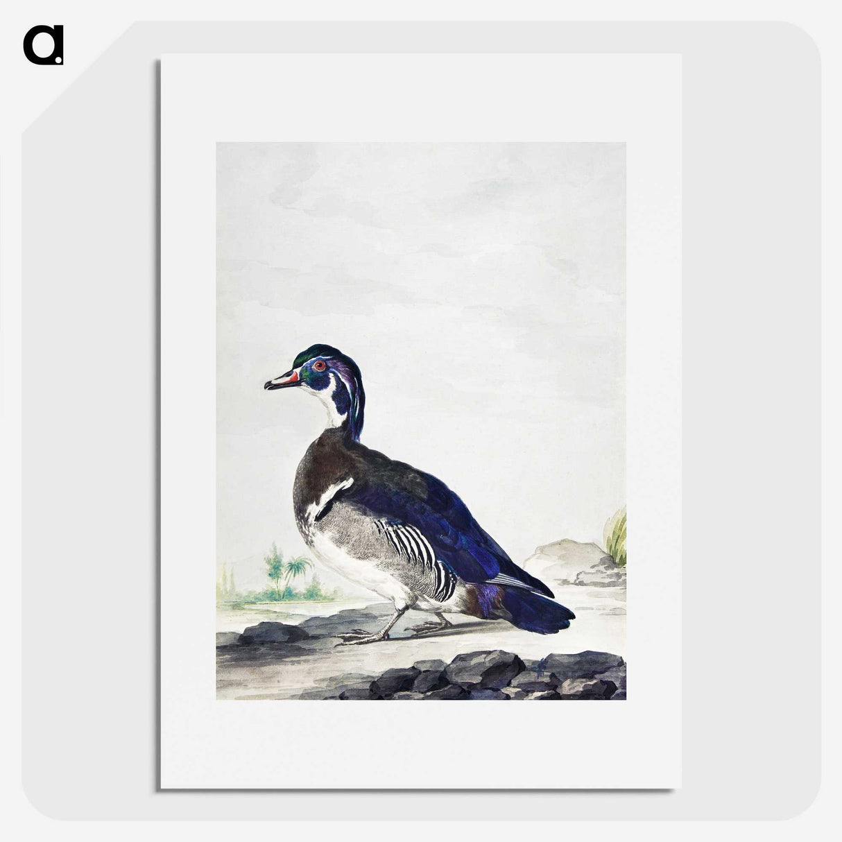 1-25_Aert-Schouman_picture
