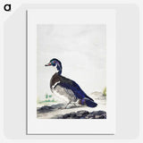 1-25_Aert-Schouman_picture