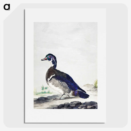 1-25_Aert-Schouman_picture