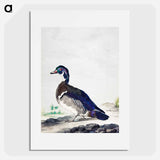 A Duck - アールト シューマン Poster.