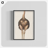 1-25_Anselmus-Boetius-de-Boodt_blk-crop