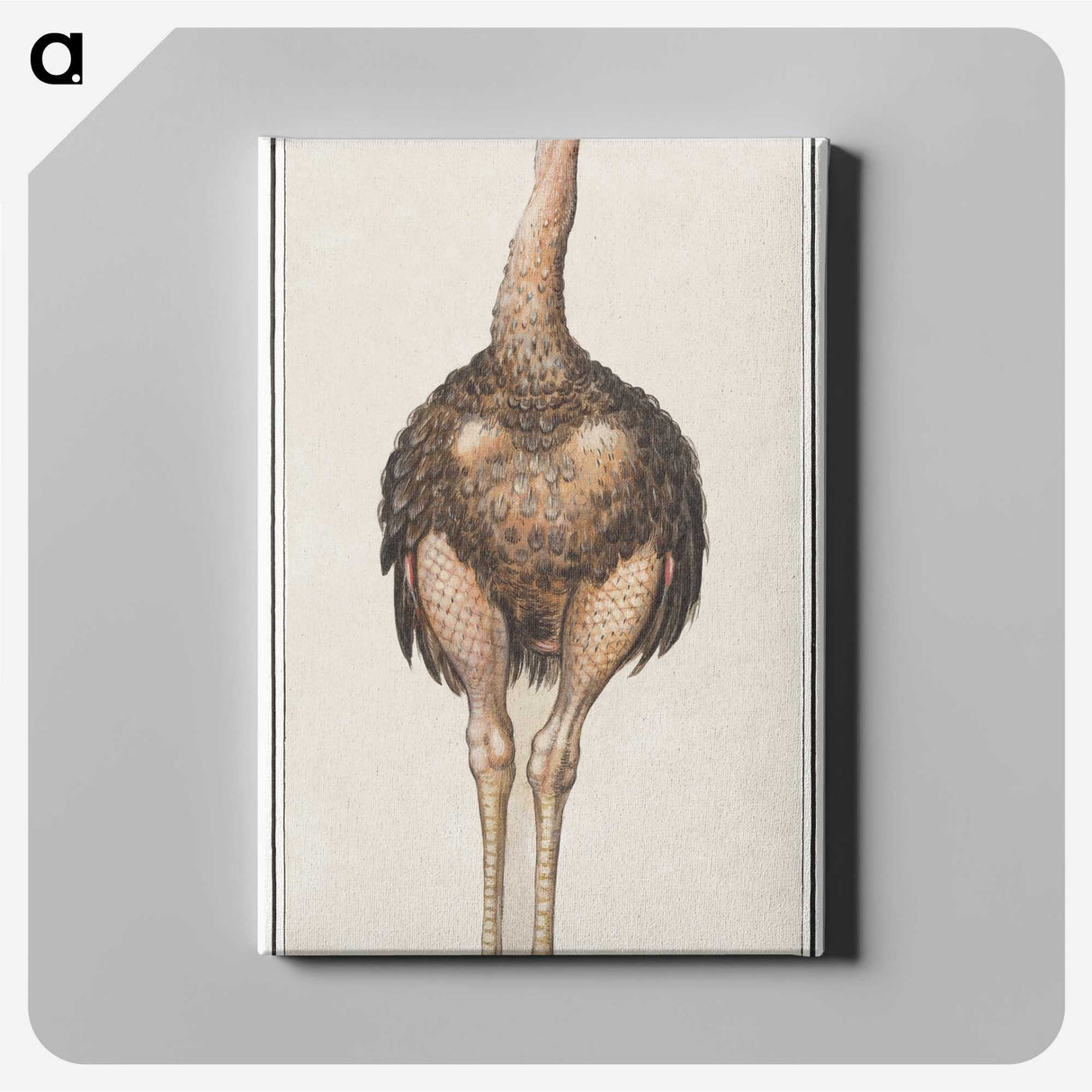 1-25_Anselmus-Boetius-de-Boodt_canvas