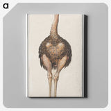 1-25_Anselmus-Boetius-de-Boodt_canvas