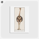 1-25_Anselmus-Boetius-de-Boodt_hagaki
