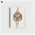 1-25_Anselmus-Boetius-de-Boodt_memo