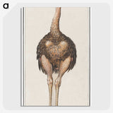 1-25_Anselmus-Boetius-de-Boodt_picture-crop