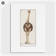 1-25_Anselmus-Boetius-de-Boodt_picture