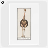 1-25_Anselmus-Boetius-de-Boodt_picture