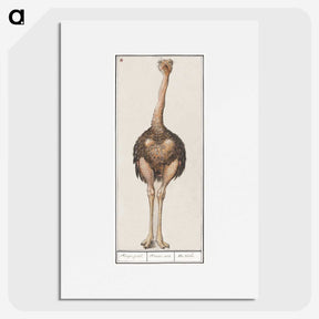 1-25_Anselmus-Boetius-de-Boodt_picture