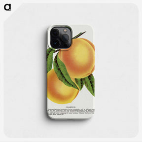 1-25_Botanical-Specimen-Plates_phone