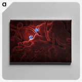 1-25_COVID-19_canvas