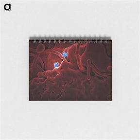 1-25_COVID-19_memo