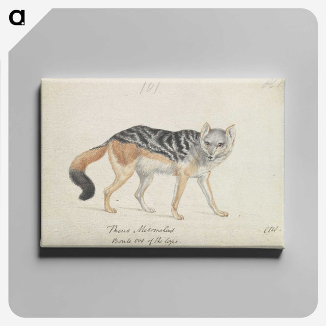 1-25_Charles-Hamilton-Smith_canvas