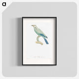 1-25_Des-Oiseaux-de-Paradis_blk