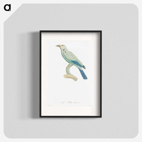 1-25_Des-Oiseaux-de-Paradis_blk
