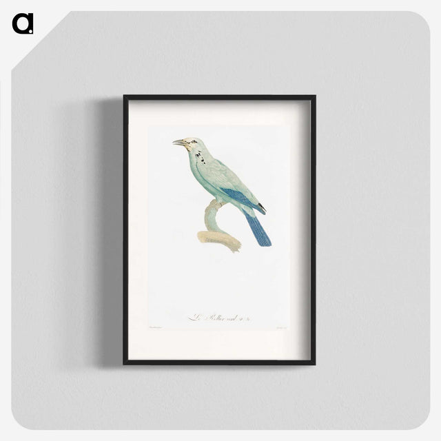 1-25_Des-Oiseaux-de-Paradis_blk
