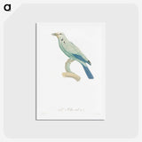 1-25_Des-Oiseaux-de-Paradis_hagaki