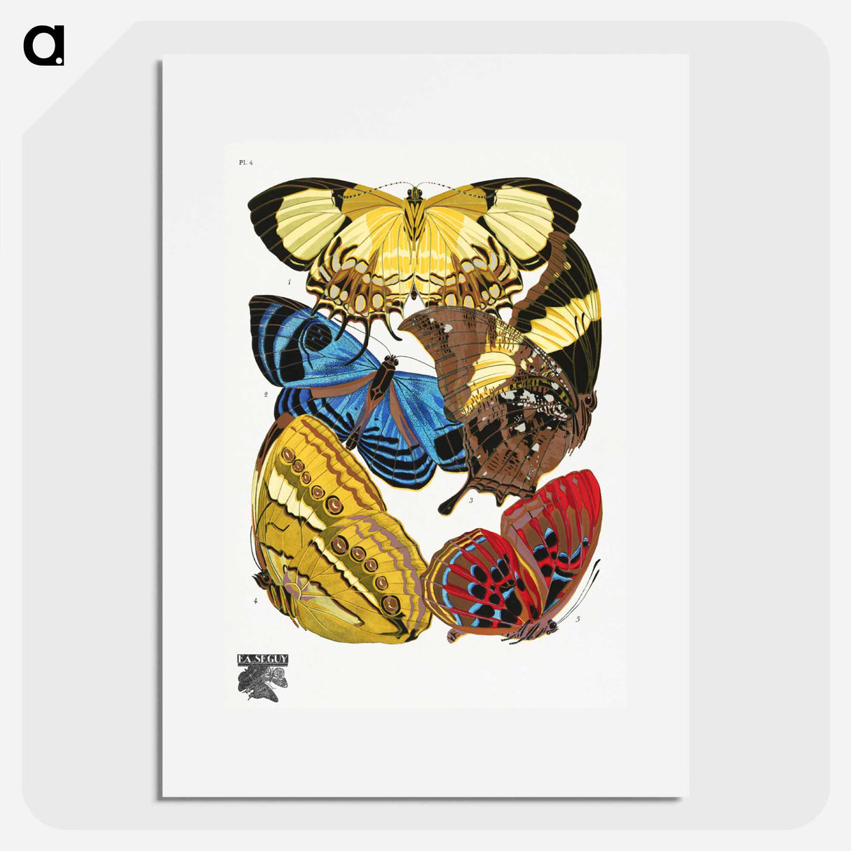 E.A. Séguy's vintage butterflies - E.A.セギー Poster.