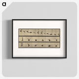1-25_Eadweard-Muybridge_blk