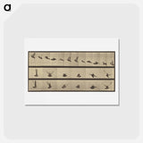 アートポストカード-Animal Locomotion
 - エドワード マイブリッジ Postcard.