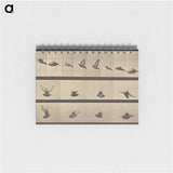 1-25_Eadweard-Muybridge_memo
