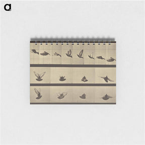 アートメモ帳-Animal Locomotion
 - エドワード マイブリッジ Memo.