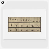1-25_Eadweard-Muybridge_picture