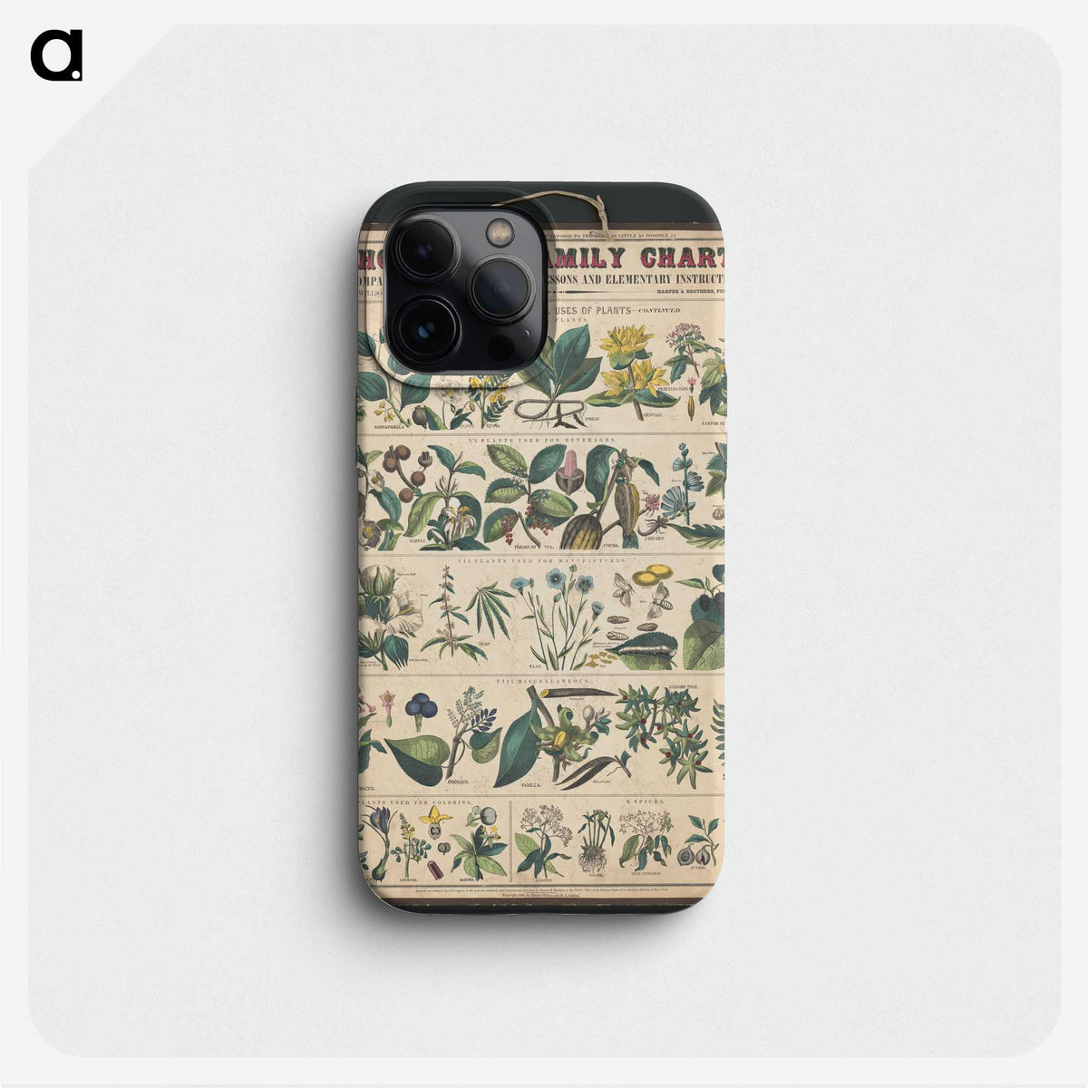 1-25_Education-Charts_phone