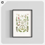1-25_Ernst-Haeckel_blk