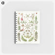 1-25_Ernst-Haeckel_memo