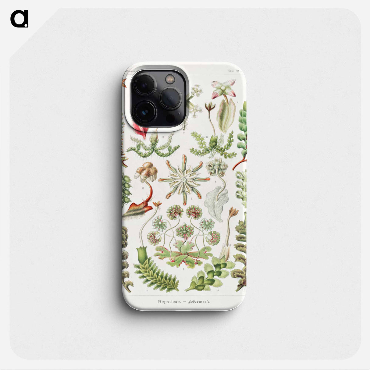 Hepaticae–Lebermoose - エルンスト ヘッケル Phone Case.
