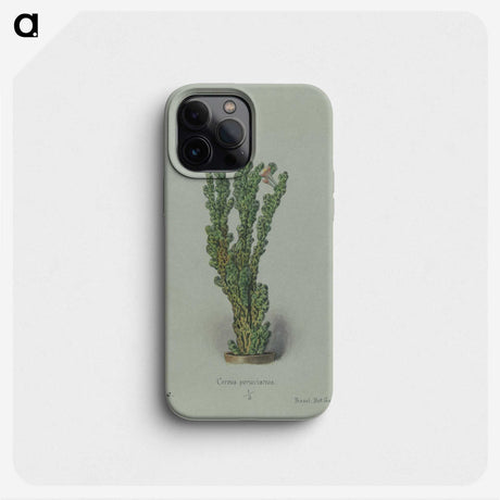 1-25_Familie-der-Cacteen_phone