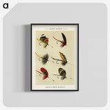 1-25_Favorite-Flies-and-Their-History_blk-crop