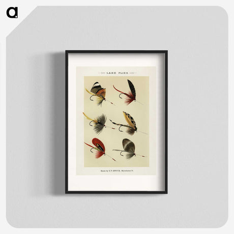 1-25_Favorite-Flies-and-Their-History_blk