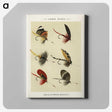 1-25_Favorite-Flies-and-Their-History_canvas