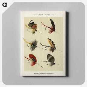 1-25_Favorite-Flies-and-Their-History_canvas