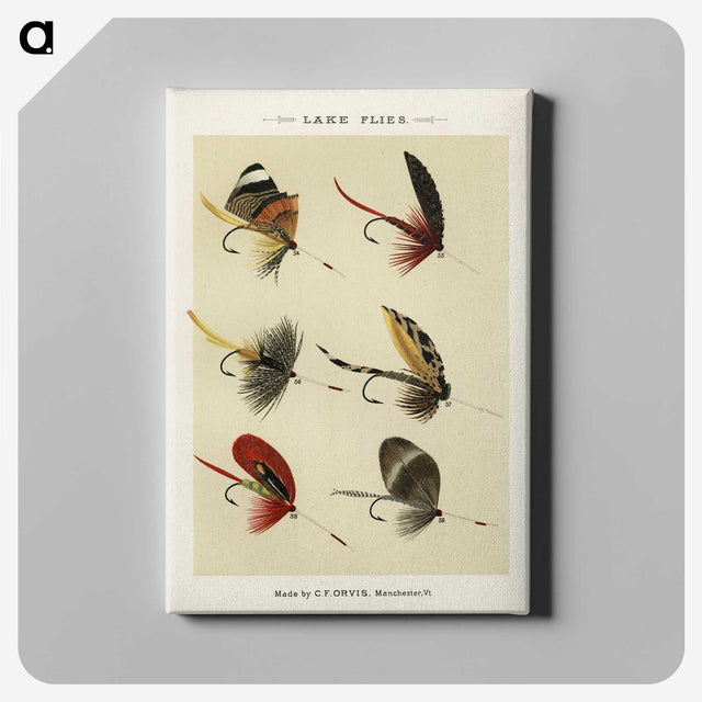 1-25_Favorite-Flies-and-Their-History_canvas