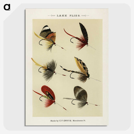 1-25_Favorite-Flies-and-Their-History_picture-crop