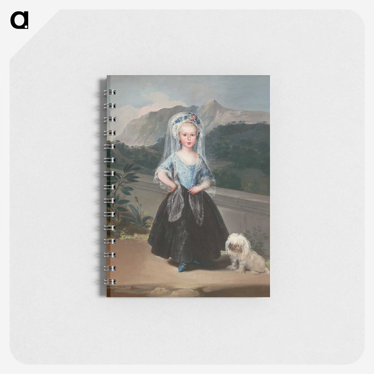 1-25_Francisco-de-Goya_memo