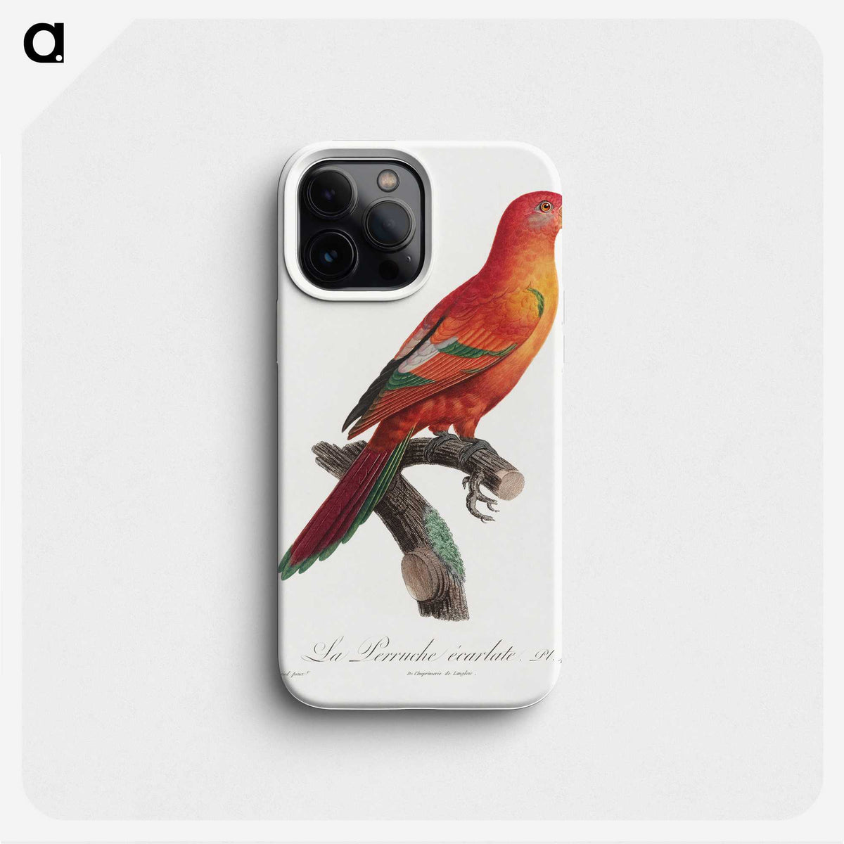1-25_Francois-Levaillant_phone