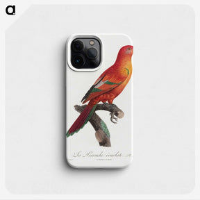1-25_Francois-Levaillant_phone
