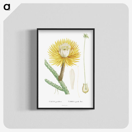 1-25_Histoire-des-Plantes-Grasses_blk-crop