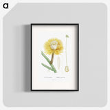 1-25_Histoire-des-Plantes-Grasses_blk