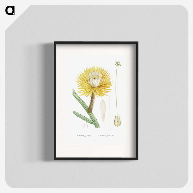 1-25_Histoire-des-Plantes-Grasses_blk