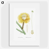 1-25_Histoire-des-Plantes-Grasses_picture