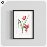 1-25_Hortus-Romanus-Botanical-Plates_blk