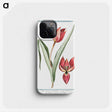 1-25_Hortus-Romanus-Botanical-Plates_phone