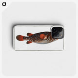 1-25_Ichtyologie-ou-Histoire-naturelle_phone
