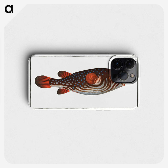 1-25_Ichtyologie-ou-Histoire-naturelle_phone